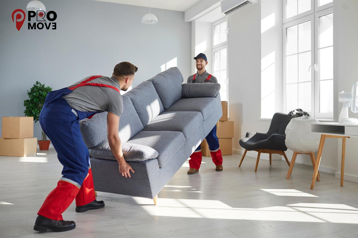 house-furniture-movers-promove.jpg