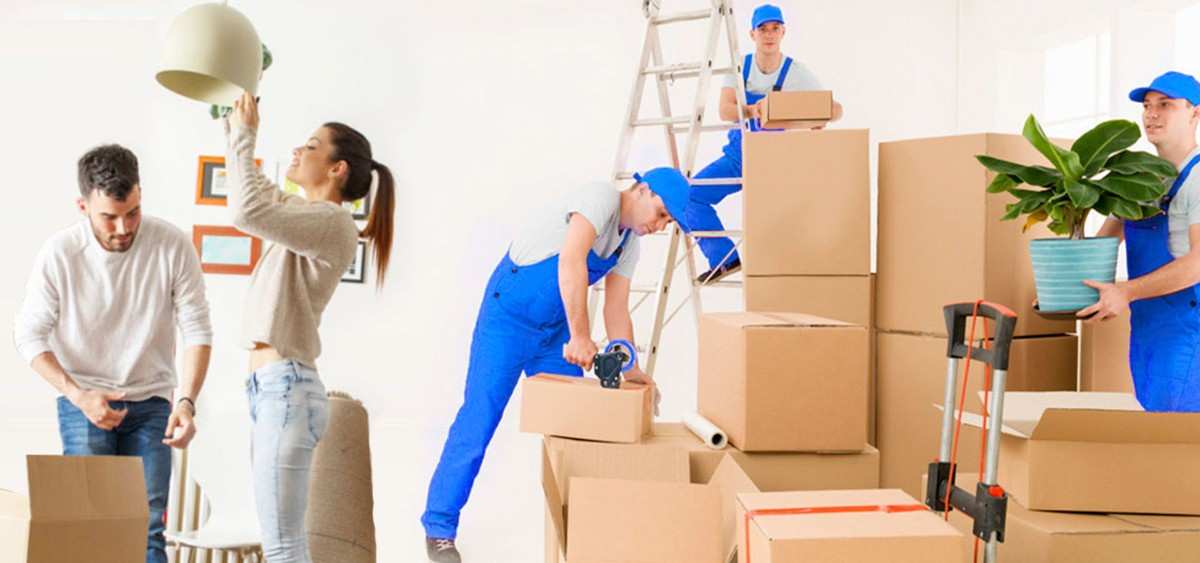 Removalists Melbourne