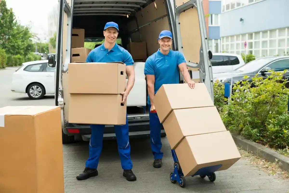 Removalists Canberra